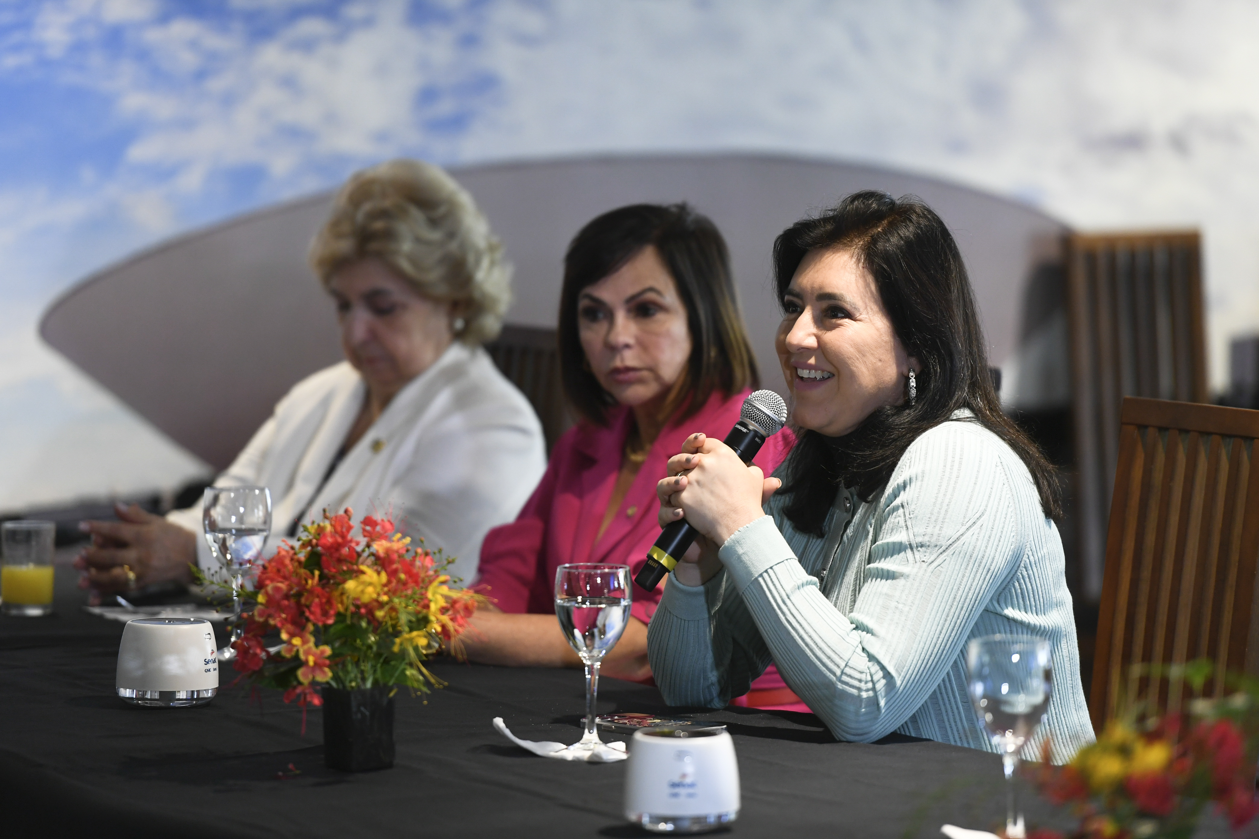 Simone Tebet no Senado